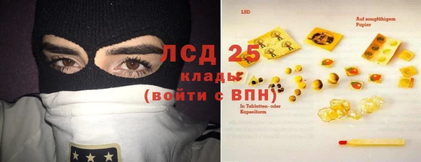 ГАЛЛЮЦИНОГЕННЫЕ ГРИБЫ Баксан