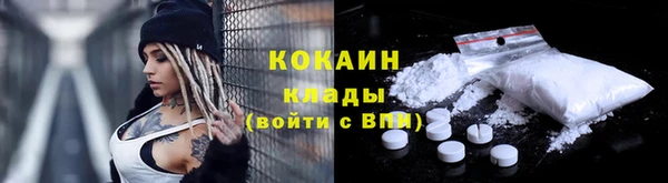 ГАЛЛЮЦИНОГЕННЫЕ ГРИБЫ Баксан