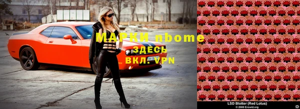 ГАЛЛЮЦИНОГЕННЫЕ ГРИБЫ Баксан