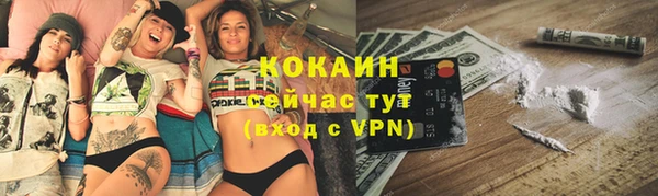 ГАЛЛЮЦИНОГЕННЫЕ ГРИБЫ Баксан