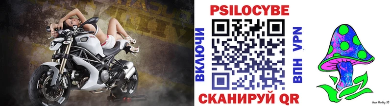 Галлюциногенные грибы Psilocybine cubensis Борисоглебск