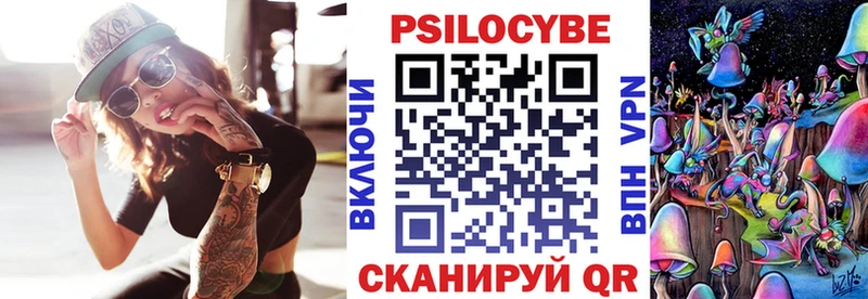 закладка Борисоглебск Галлюциногенные грибы Cubensis